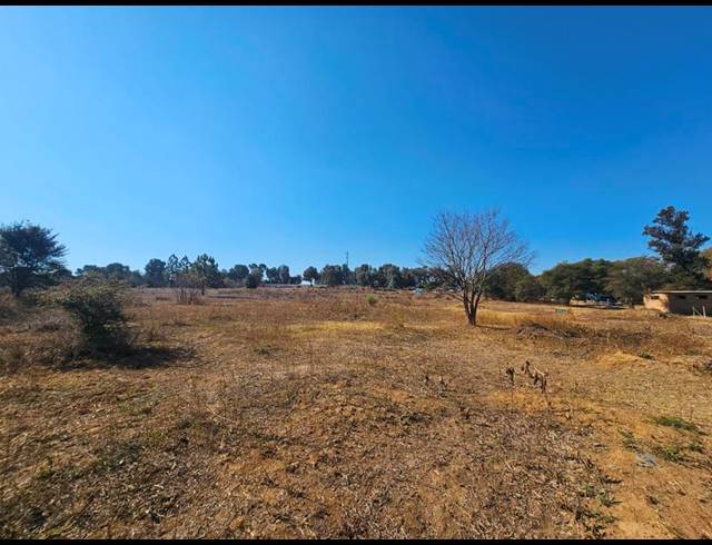 FARM FOR SALE IN ZONNEHOEWE